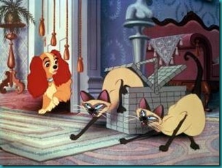 Dog Cat Spaghetti Analogies Dog Cat Spaghetti Analogies